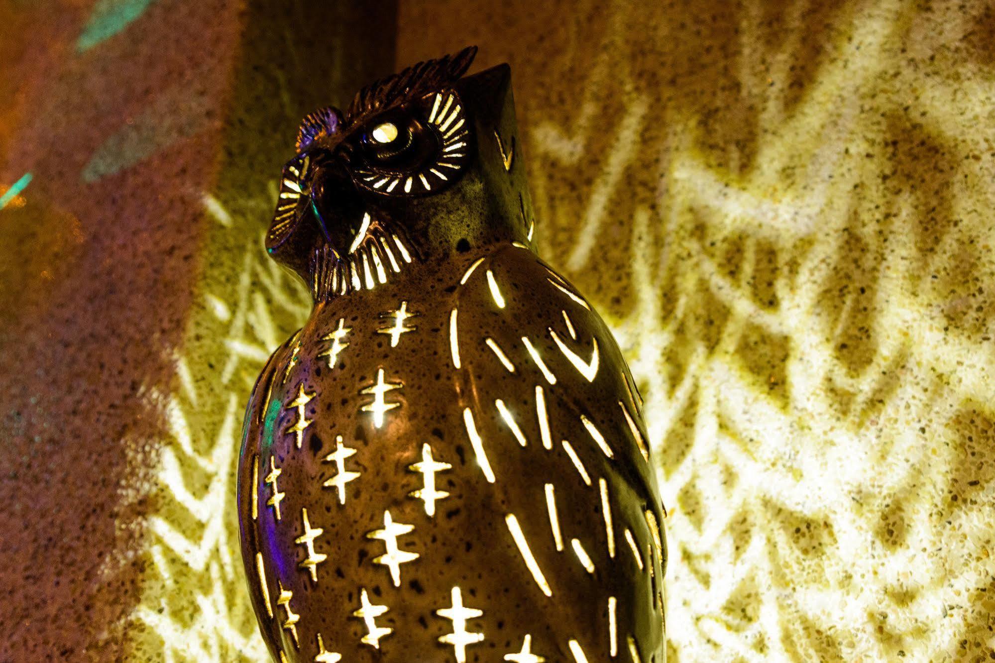 Owl Castle Bed & Breakfast Hualien City Exterior foto